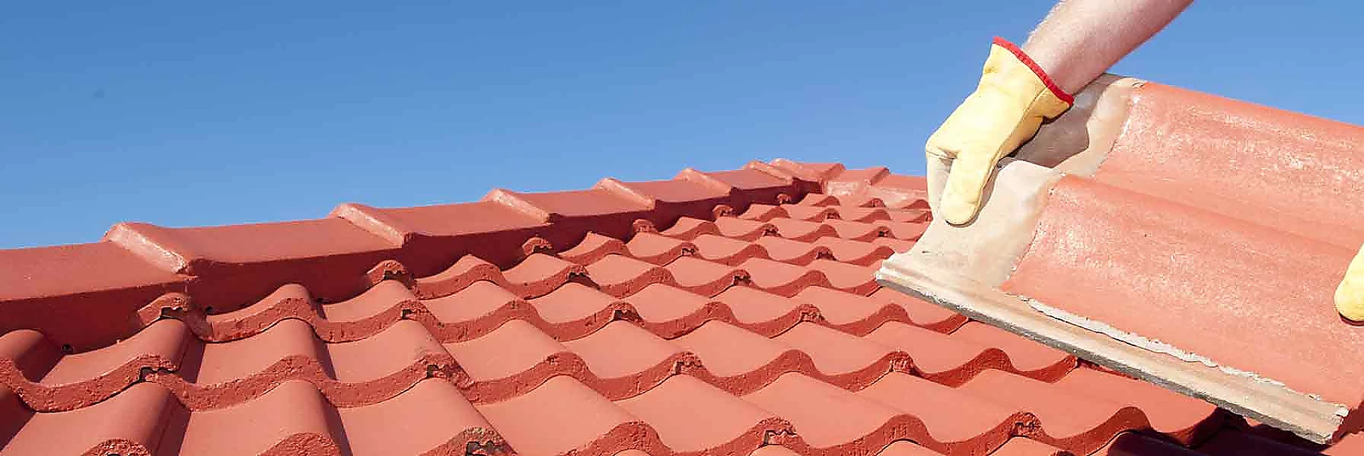 dachbau_49126096.jpg